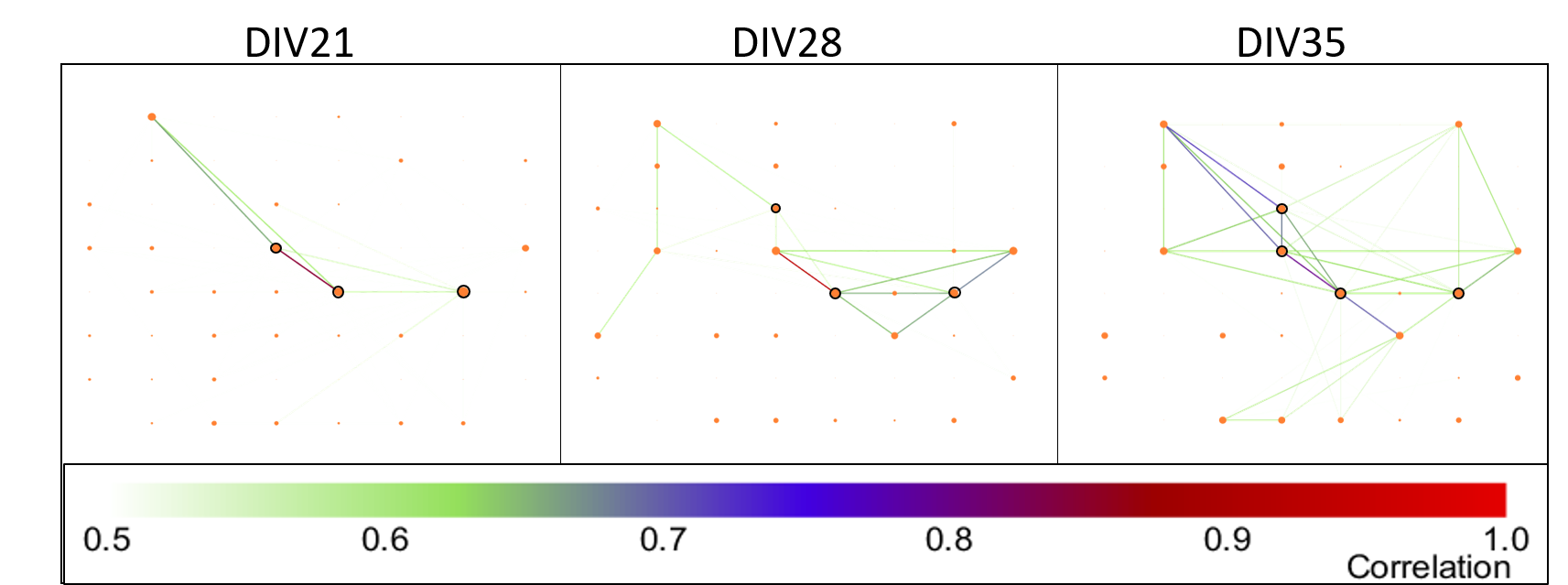 image showing network graph over development
