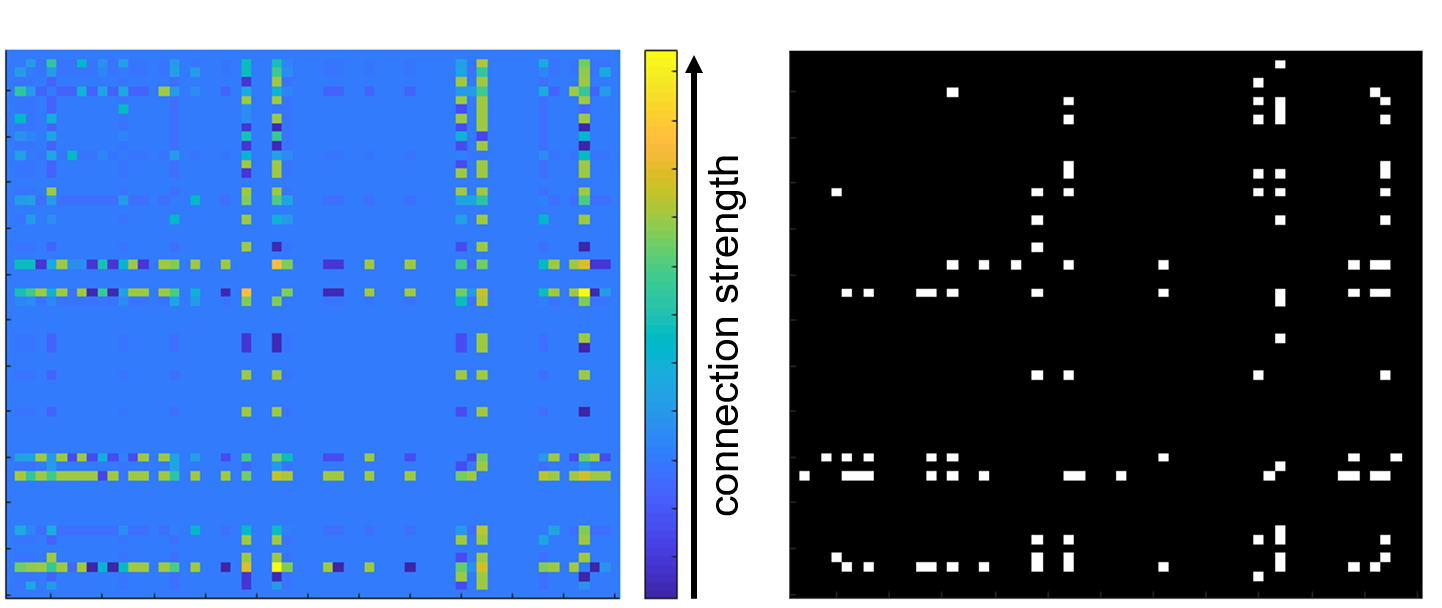 image showing weighted and binary spike matrices